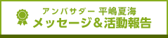 平嶋夏海 アンバサダー